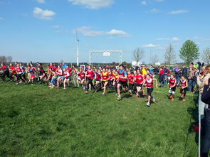 青少年体育运动社会支持系统研究，青少年体育运动社会支持系统研究现状