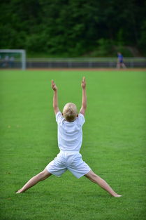 高校运动训练计划动态调整机制研究，运动训练调控